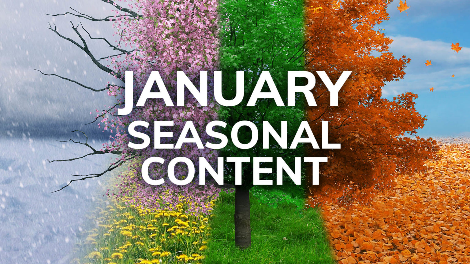 january-seasonal-content-dsid